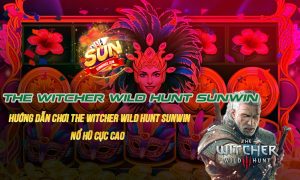 The Witcher Wild Hunt Sunwin